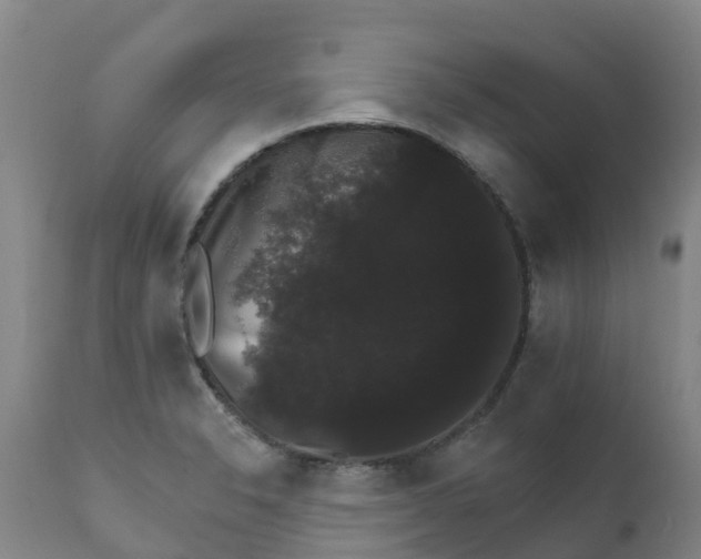 X0000111801326200908131427
