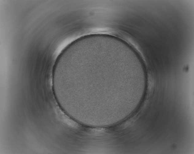 X0000111801328200908131427
