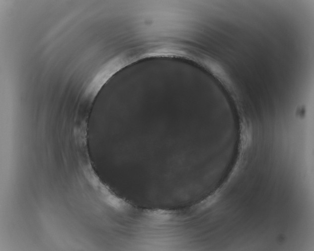 X0000111801329200908131427