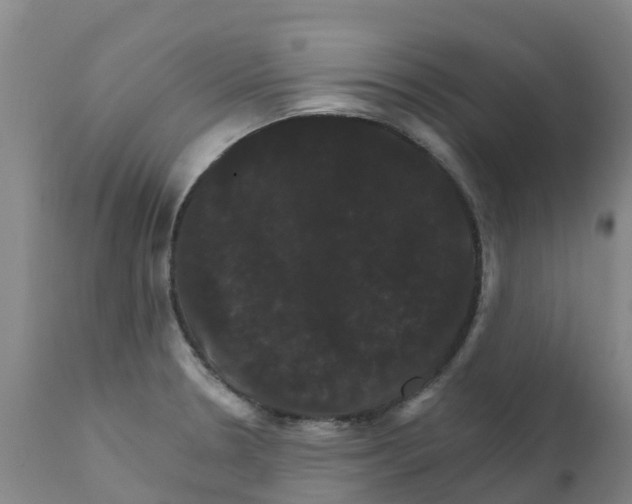 X0000111801330200908131427