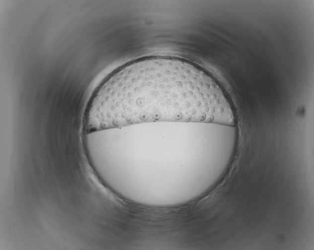 X0000111801331200908131427