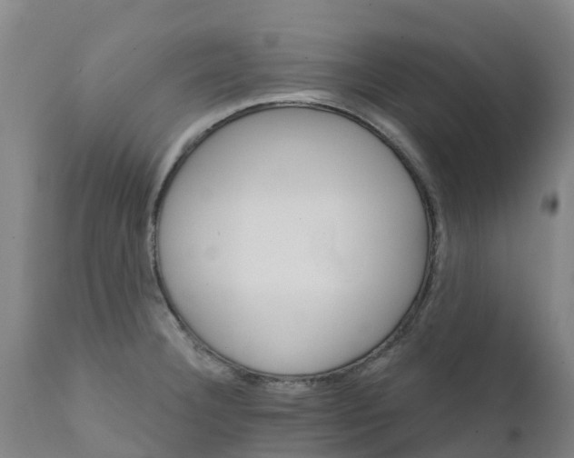 X0000111801332200908131427