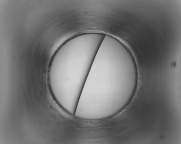 X0000111801333200908131427