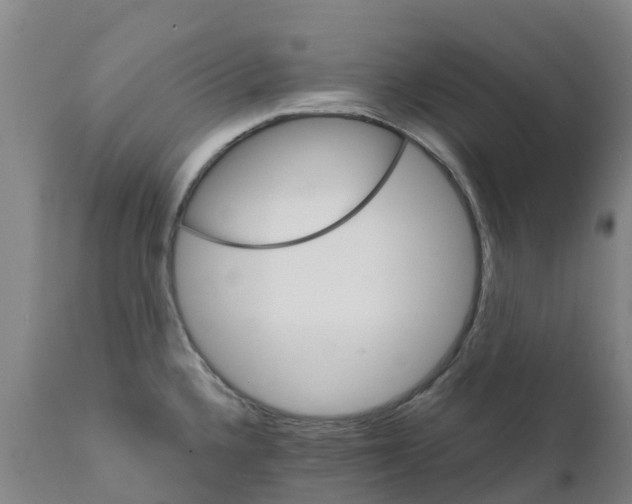 X0000111801336200908131427