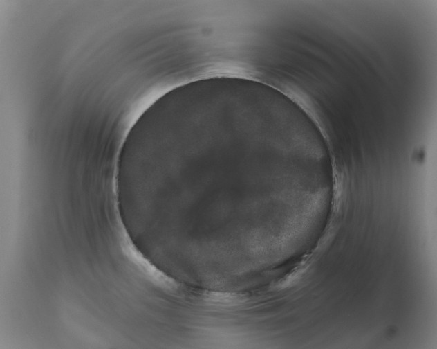 X0000111801339200908131427