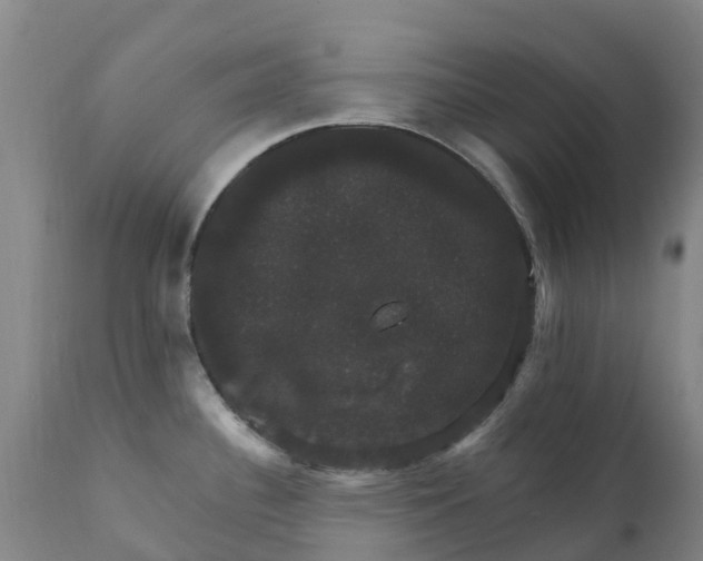 X0000111801340200908131427