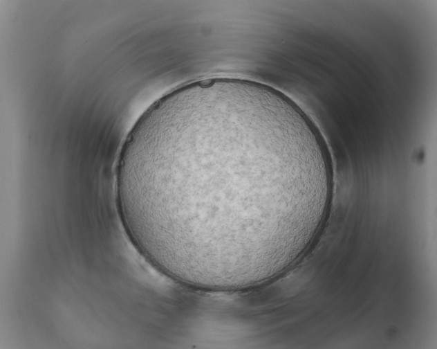 X0000111801341200908131427
