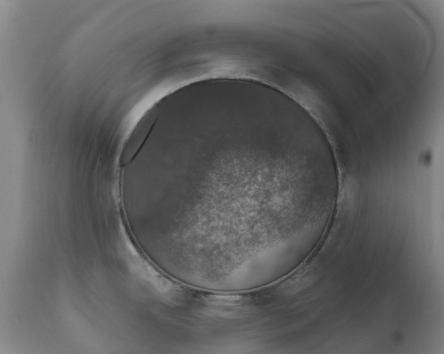 X0000111801342200908131427