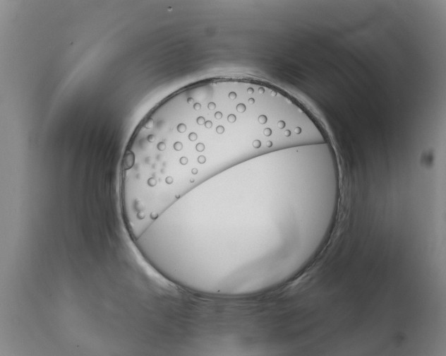 X0000111801343200908131427