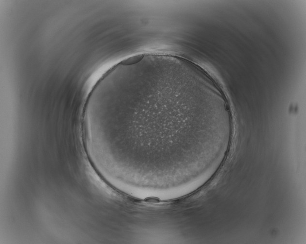 X0000111801344200908131427