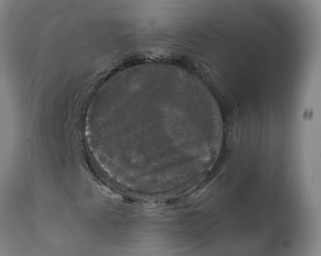 X0000111801345200908131427