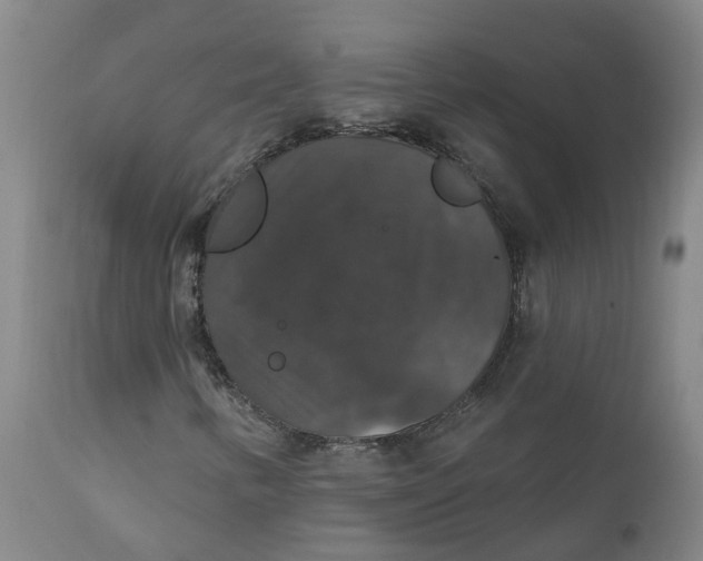 X0000111801346200908131426
