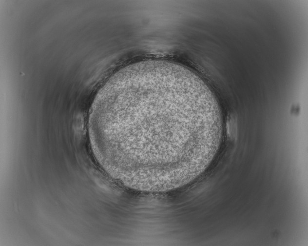 X0000111801347200908131426