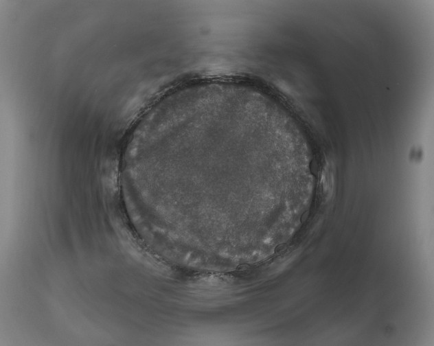 X0000111801348200908131426