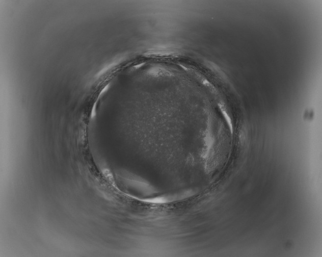 X0000111801350200908131426