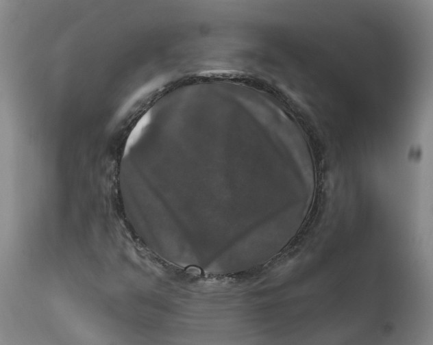X0000111801351200908131426