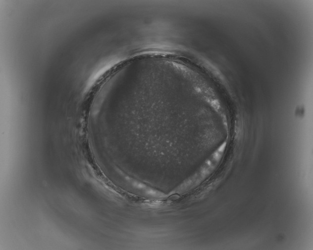 X0000111801352200908131426