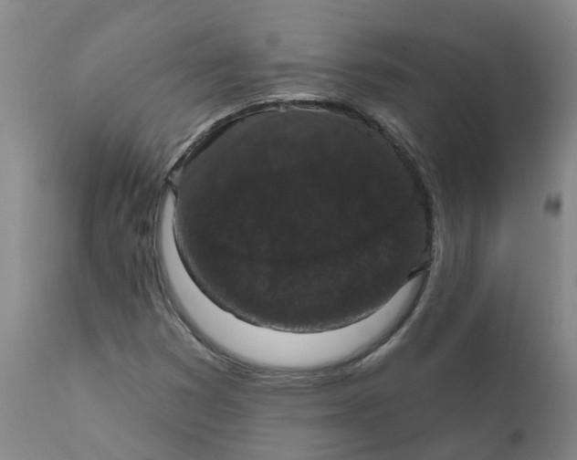 X0000111801353200908131426