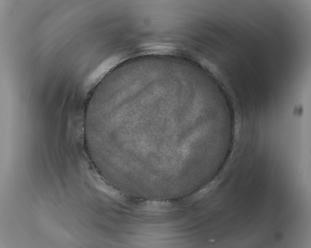 X0000111801354200908131426
