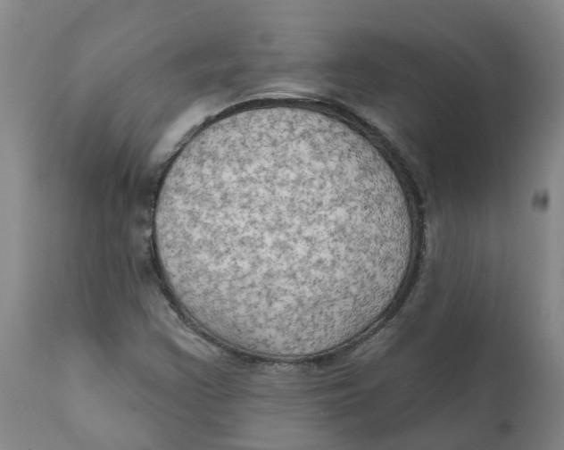 X0000111801355200908131426