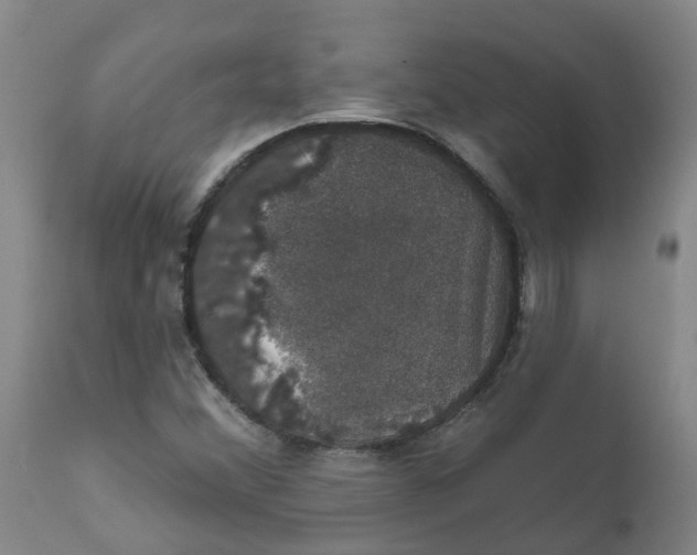 X0000111801356200908131426