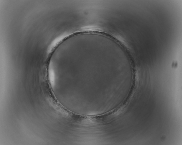 X0000111801358200908131426
