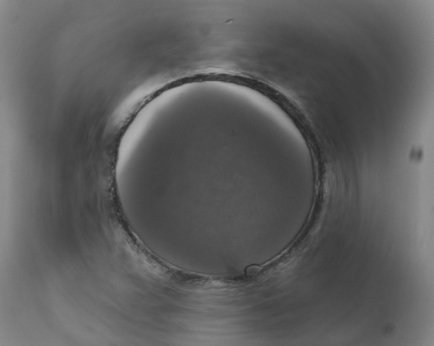 X0000111801359200908131426