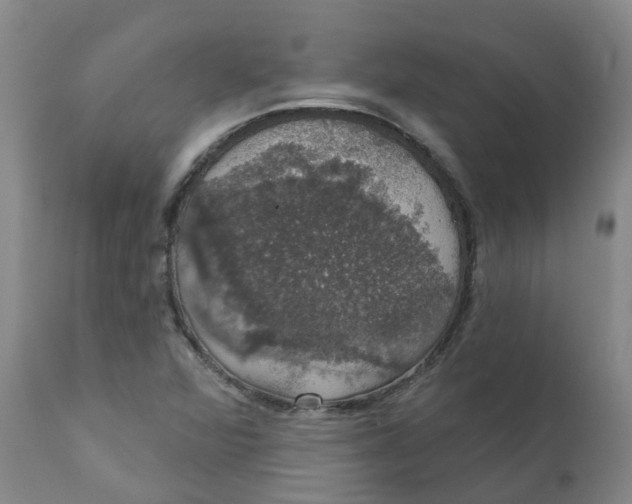 X0000111801360200908131426