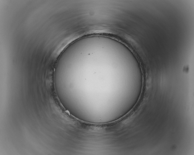 X0000111801361200908131426