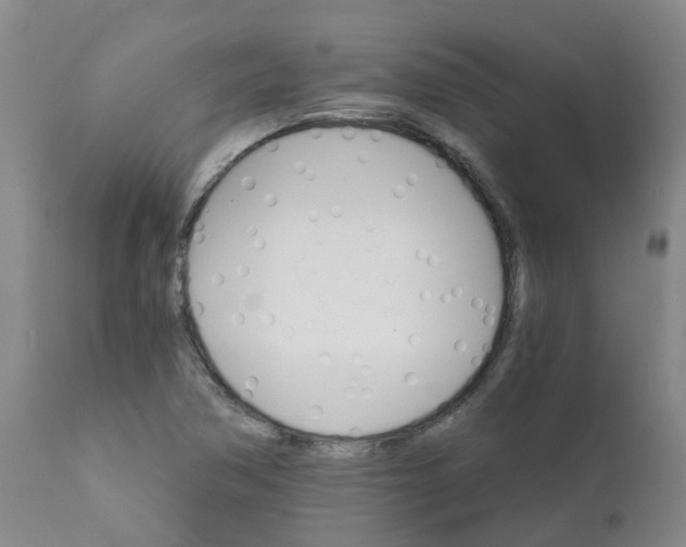 X0000111801362200908131426