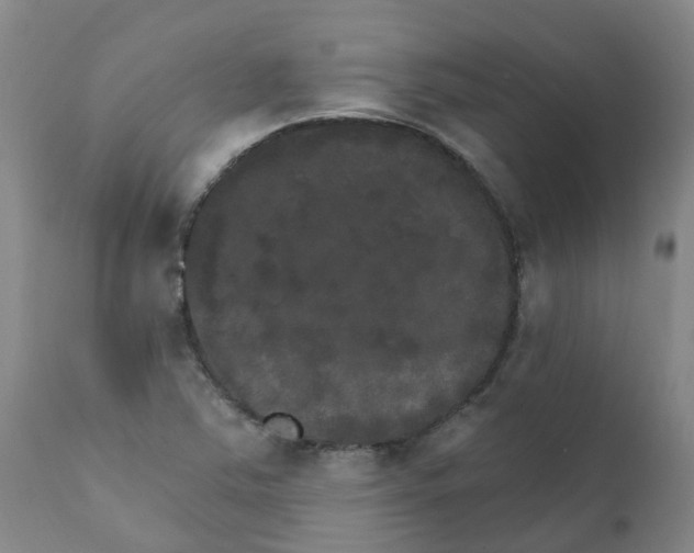 X0000111801363200908131426