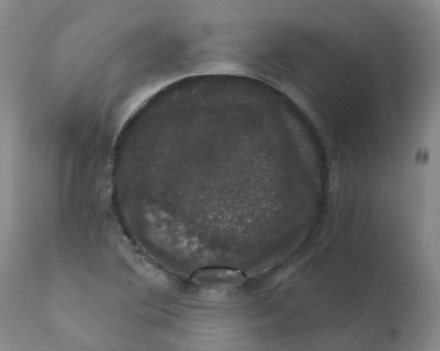 X0000111801364200908131426