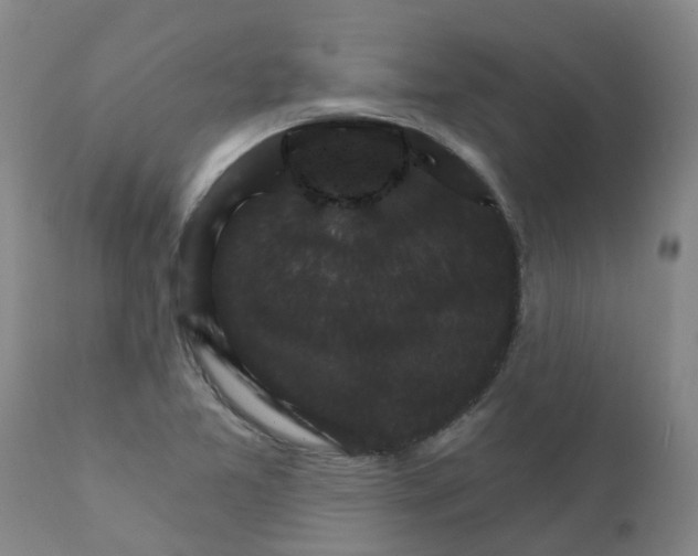 X0000111801365200908131426