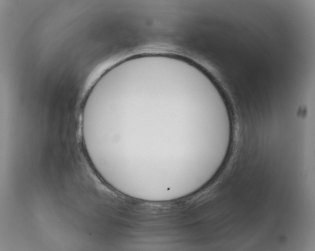 X0000111801366200908131426