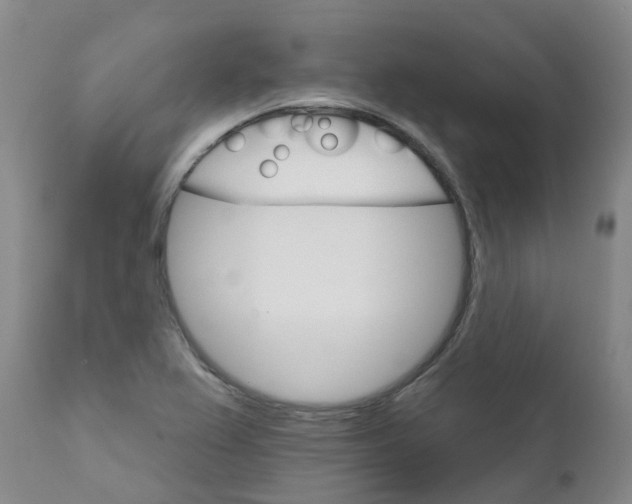 X0000111801367200908131426