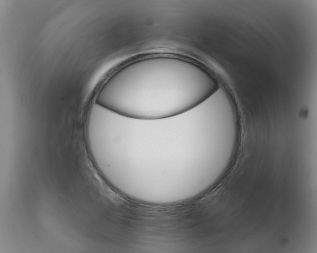 X0000111801368200908131426