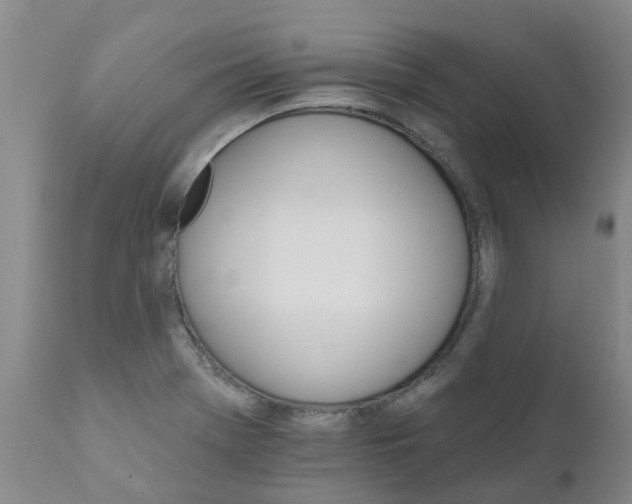 X0000111801369200908131426