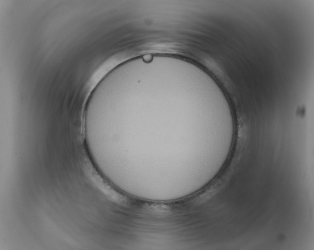 X0000111801370200908131426