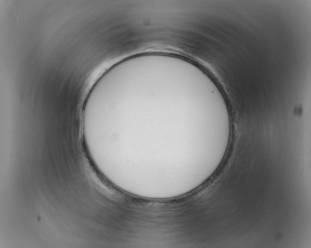 X0000111801371200908131426