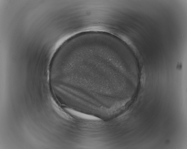 X0000111801372200908131426