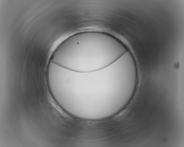 X0000111801373200908131426