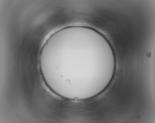 X0000111801374200908131426