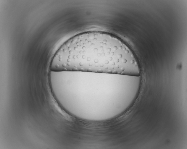X0000111801375200908131426