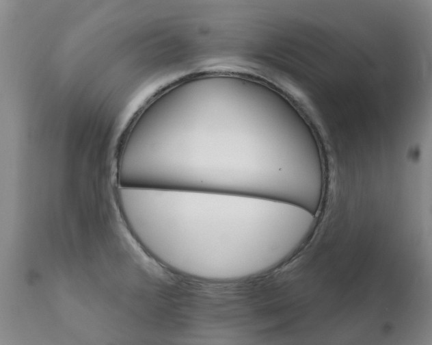 X0000111801376200908131426