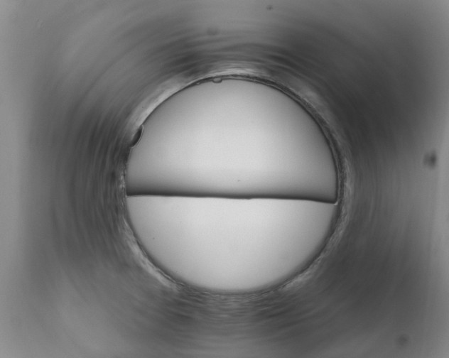 X0000111801377200908131426