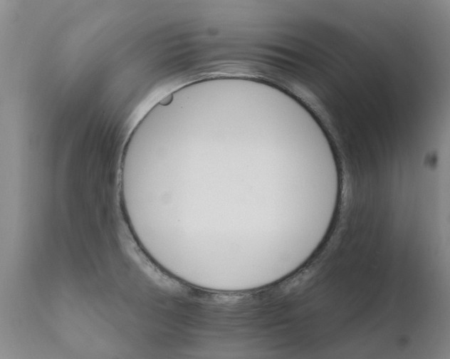 X0000111801378200908131426