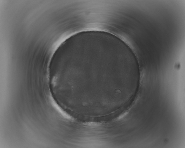 X0000111801380200908131426