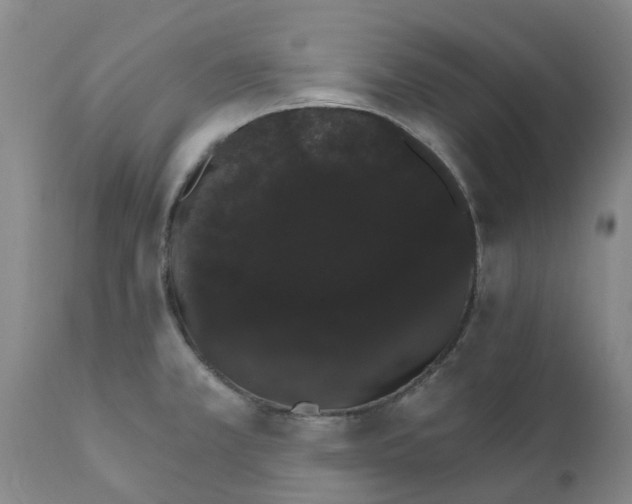 X0000111801381200908131426