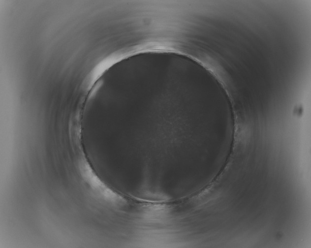 X0000111801382200908131426
