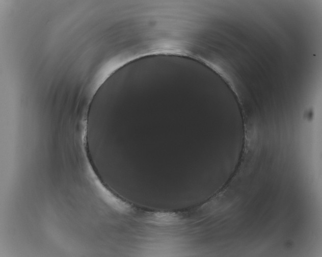 X0000111801383200908131426